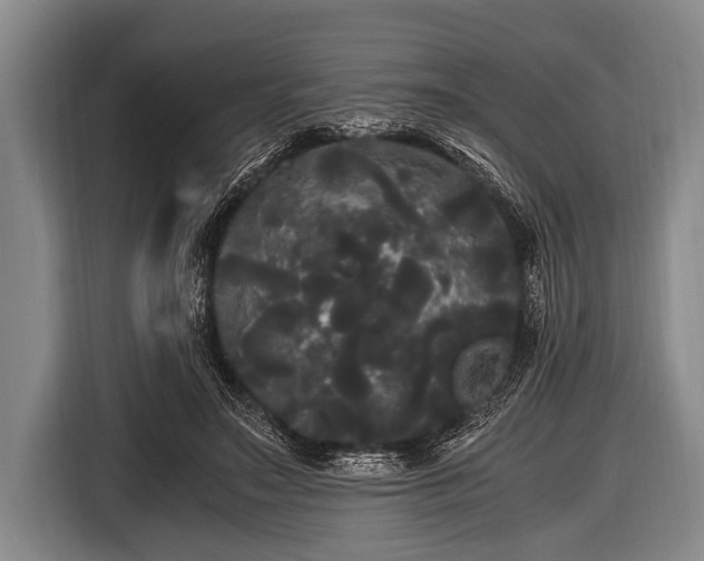 X0000116800499200912241204