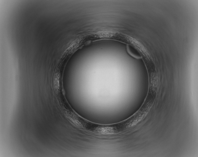 X0000116800501200912241204