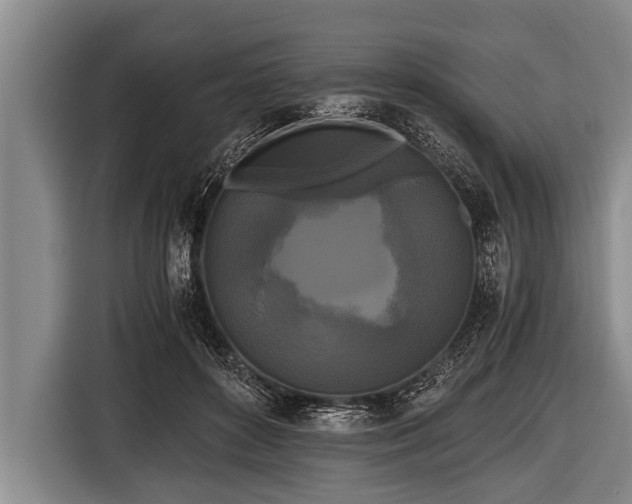 X0000116800504200912241204