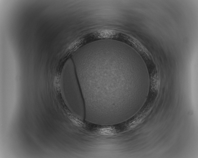 X0000116800505200912241204