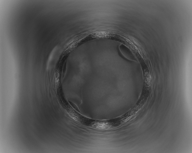 X0000116800507200912241204