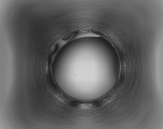 X0000116800508200912241204