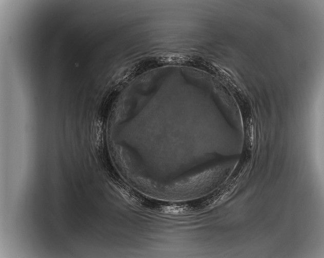 X0000116800511200912241204