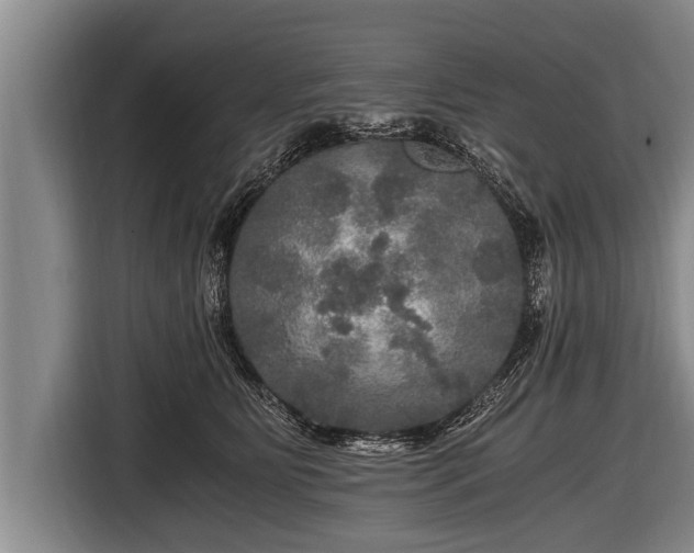 X0000116800515200912241204