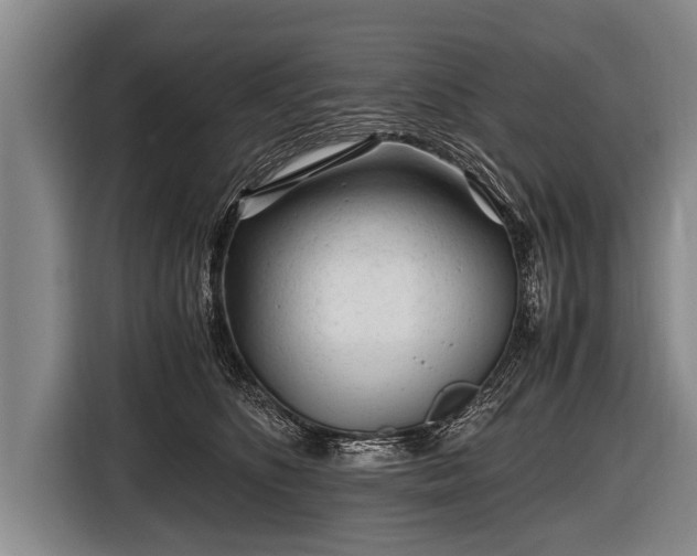 X0000116800516200912241204