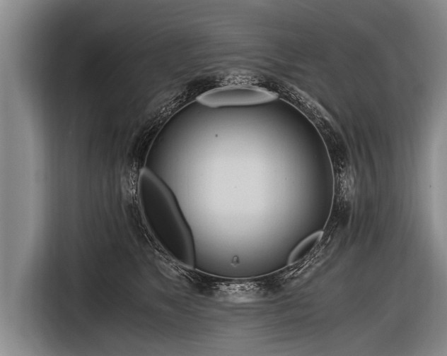 X0000116800517200912241204