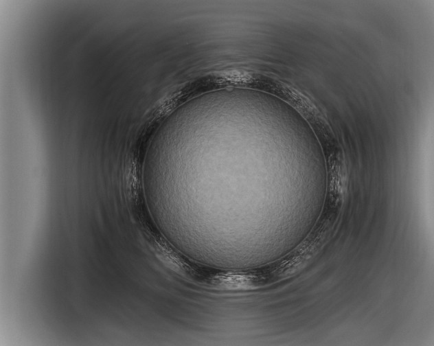 X0000116800518200912241204