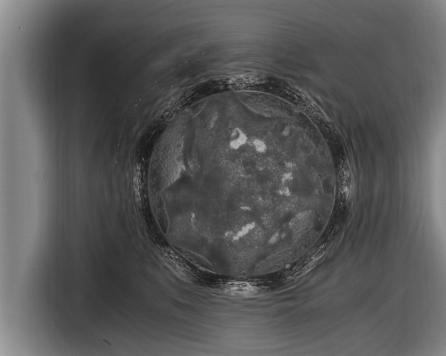 X0000116800519200912241204