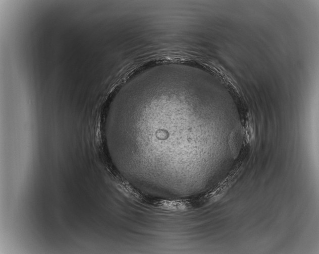 X0000116800520200912241204