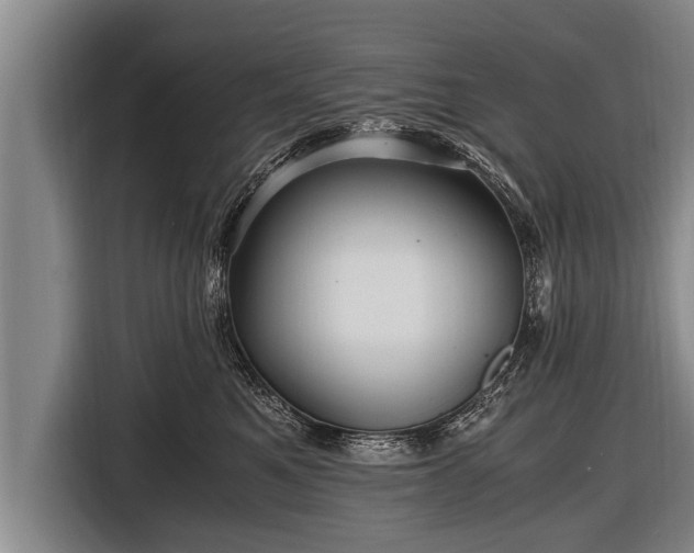 X0000116800521200912241204