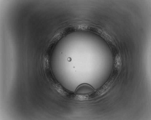 X0000116800522200912241204