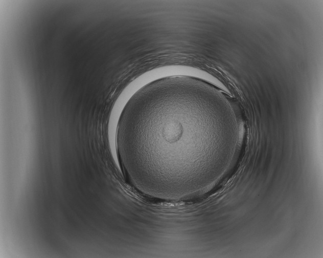 X0000116800524200912241204