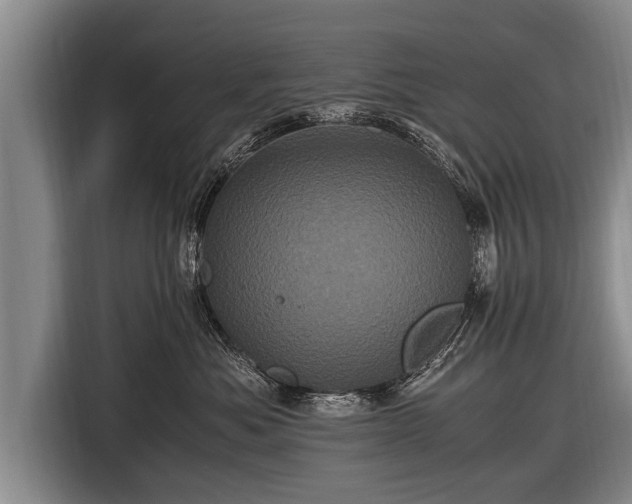 X0000116800525200912241204