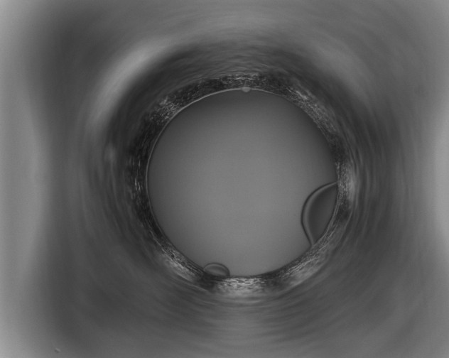 X0000116800526200912241204