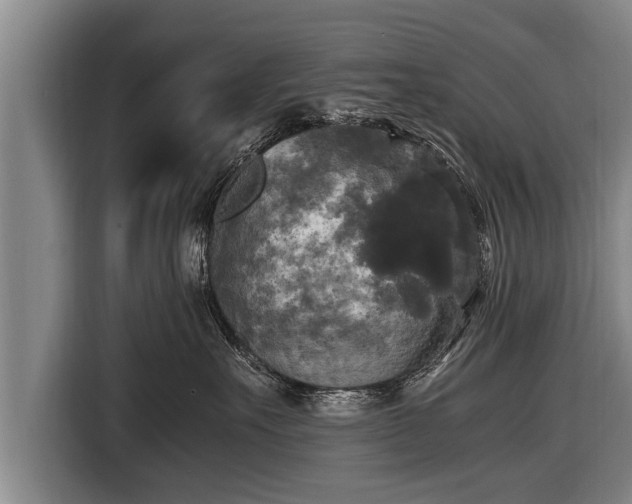 X0000116800527200912241203