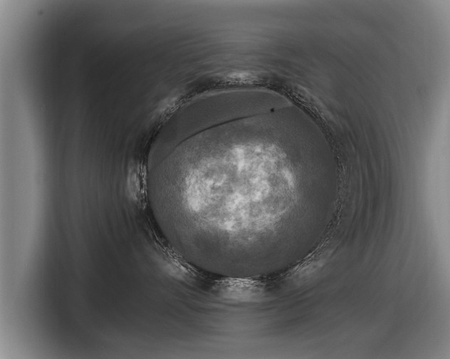 X0000116800528200912241203