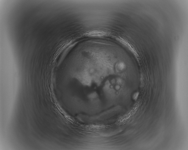 X0000116800529200912241203