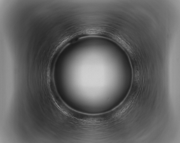 X0000116800530200912241203