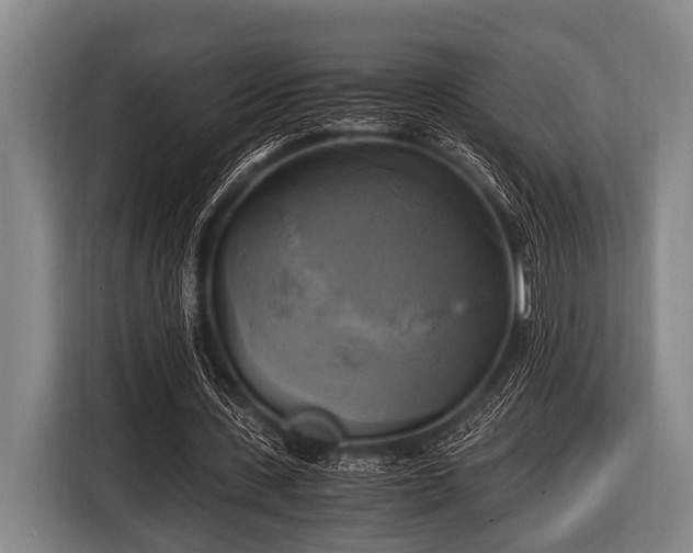 X0000116800531200912241203