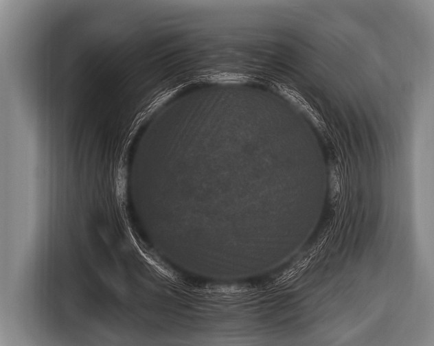 X0000116800533200912241203