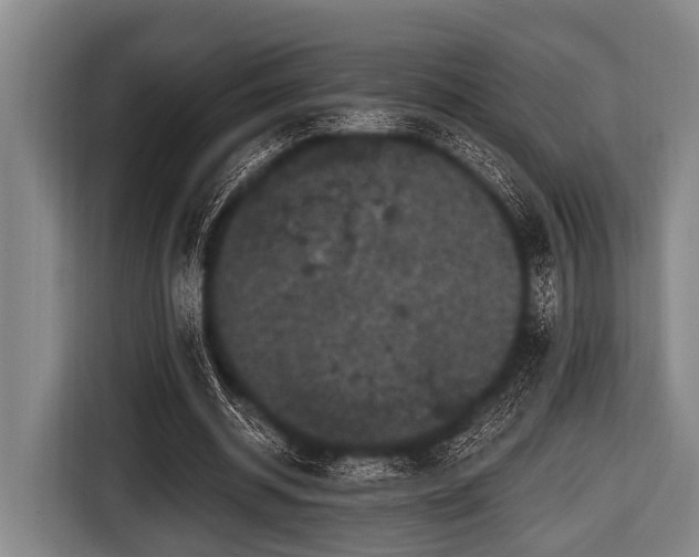 X0000116800534200912241203