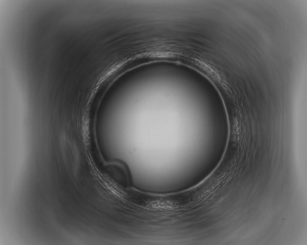 X0000116800535200912241203