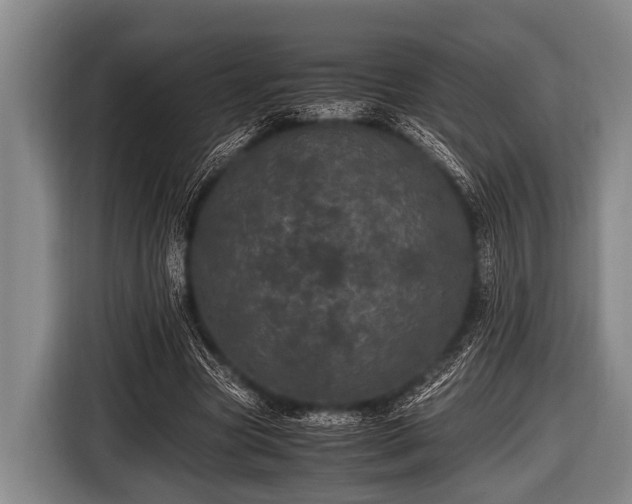 X0000116800537200912241203