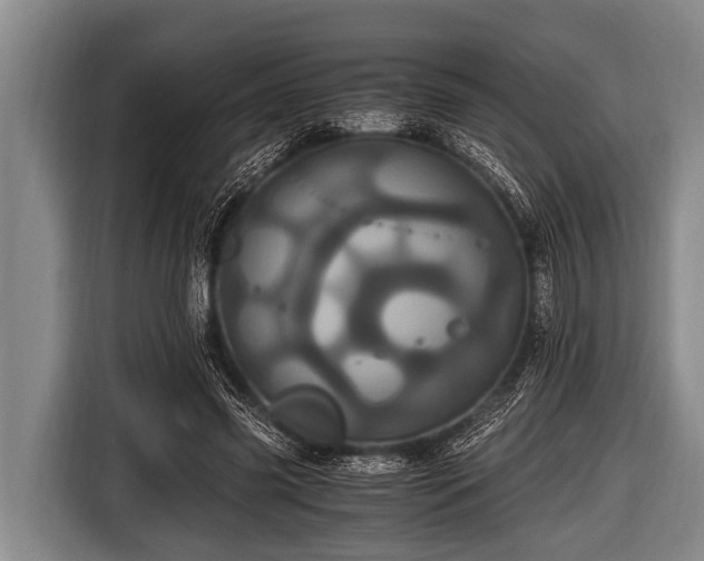 X0000116800541200912241203