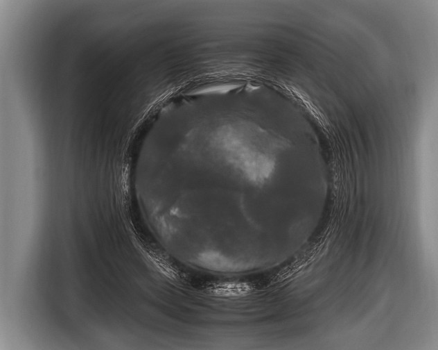 X0000116800543200912241203