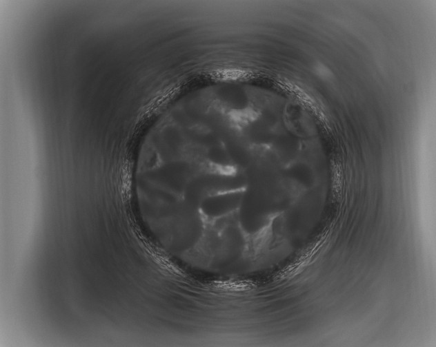 X0000116800545200912241203