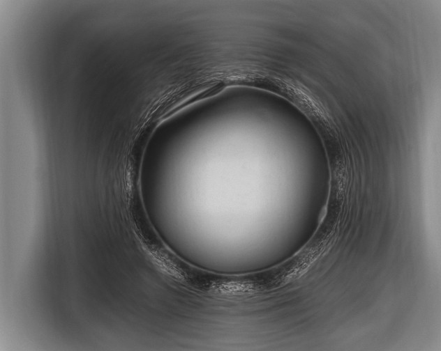 X0000116800546200912241203