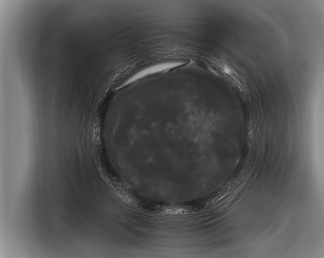 X0000116800547200912241203