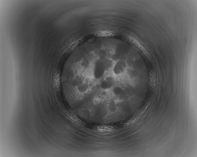 X0000116800549200912241203