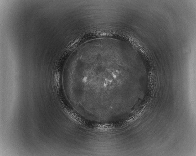 X0000116800550200912241203