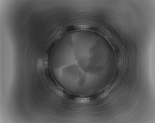 X0000116800553200912241203