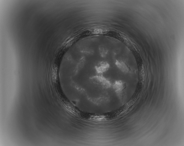 X0000116800554200912241203