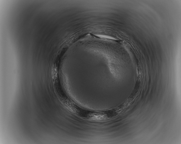 X0000116800555200912241203