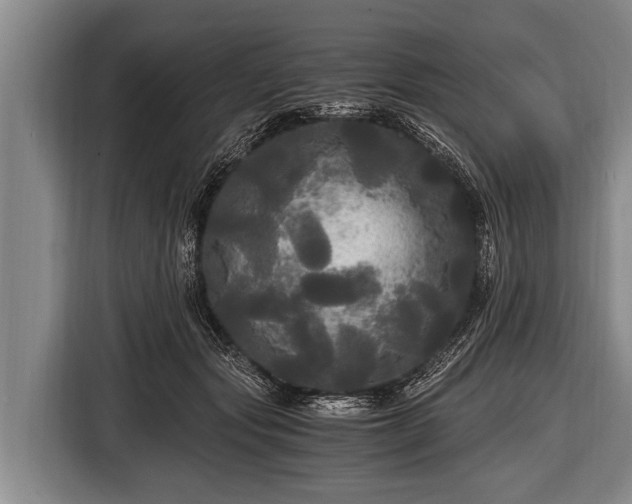 X0000116800557200912241203