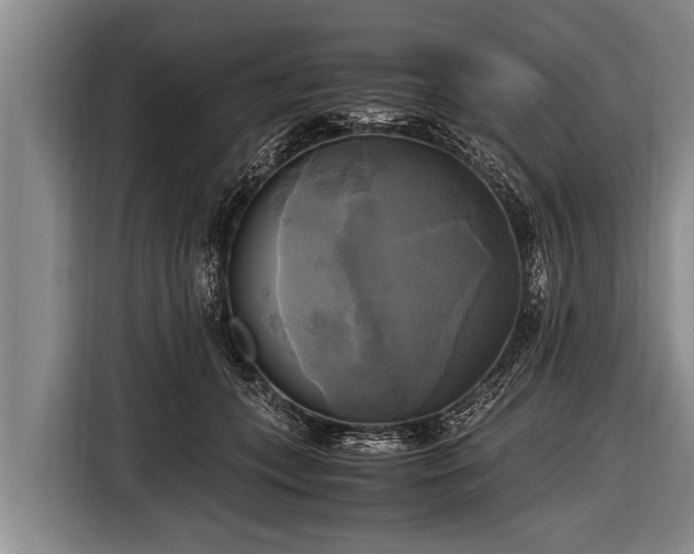 X0000116800559200912241203