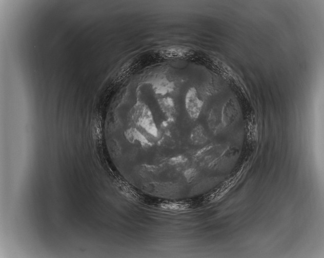 X0000116800561200912241203