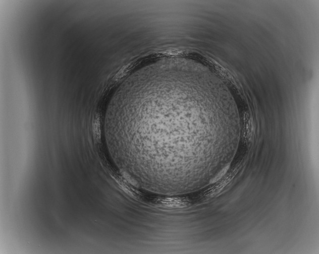 X0000116800562200912241203