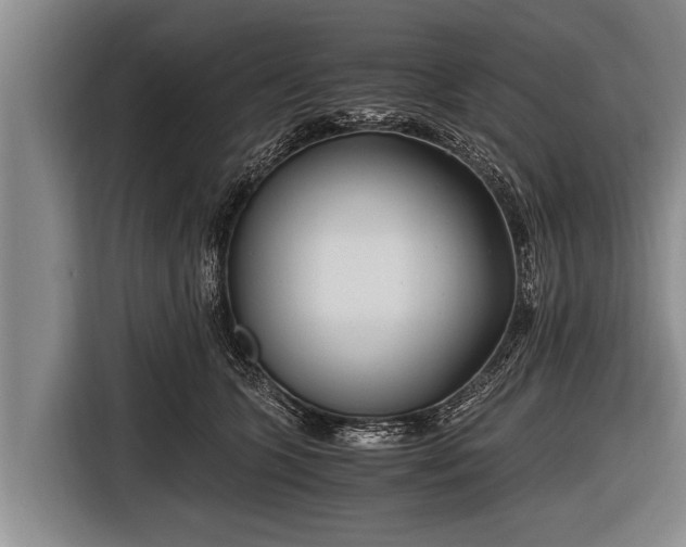 X0000116800563200912241203