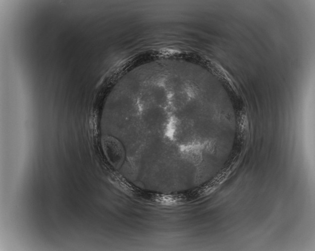 X0000116800565200912241203