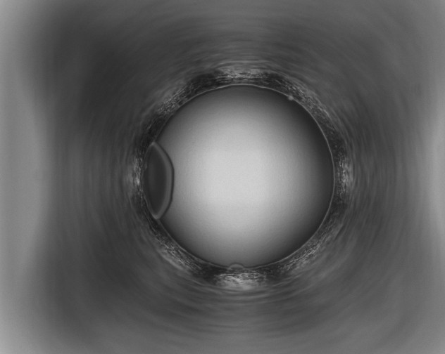 X0000116800567200912241203