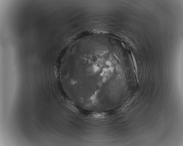 X0000116800569200912241203