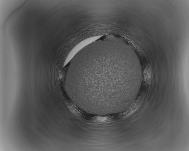 X0000116800570200912241203