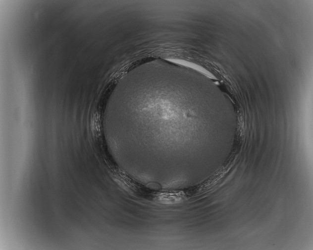 X0000116800571200912241203