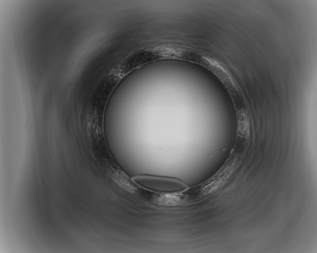 X0000116800573200912241203