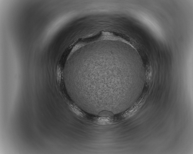 X0000116800574200912241203