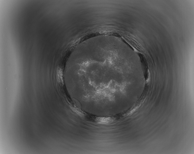 X0000116800575200912241203